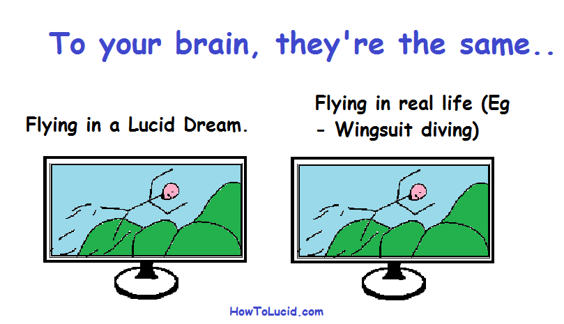 The brains representation of reality