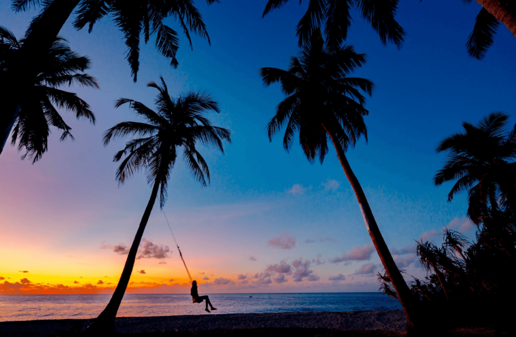 silhouette of person on a swing below palm trees