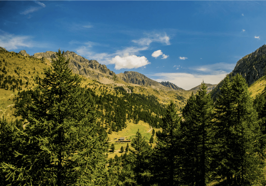 green mountain view