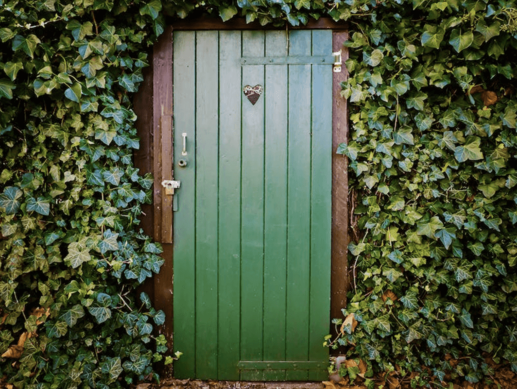 green door surrounded by leaves