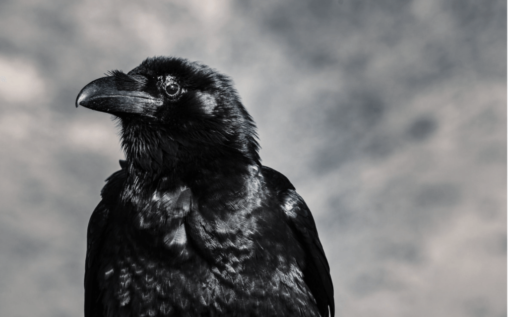 raven method shifting